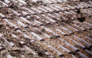 Charlton All Saints roof cleaning companies