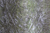 Charlton All Saints fibreglass roof work